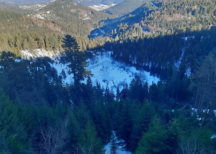 Fewo Schwarzwald Von Oben - Kniebis