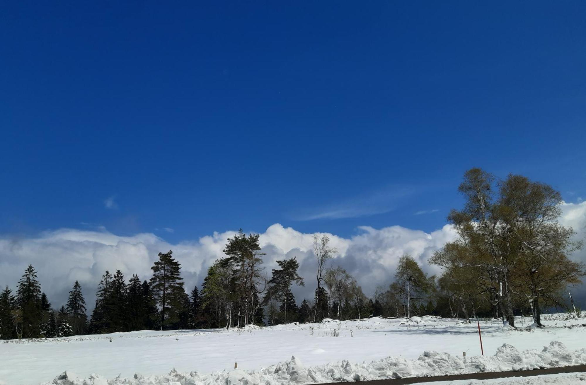 Schwarzwald Von Oben - Kniebis