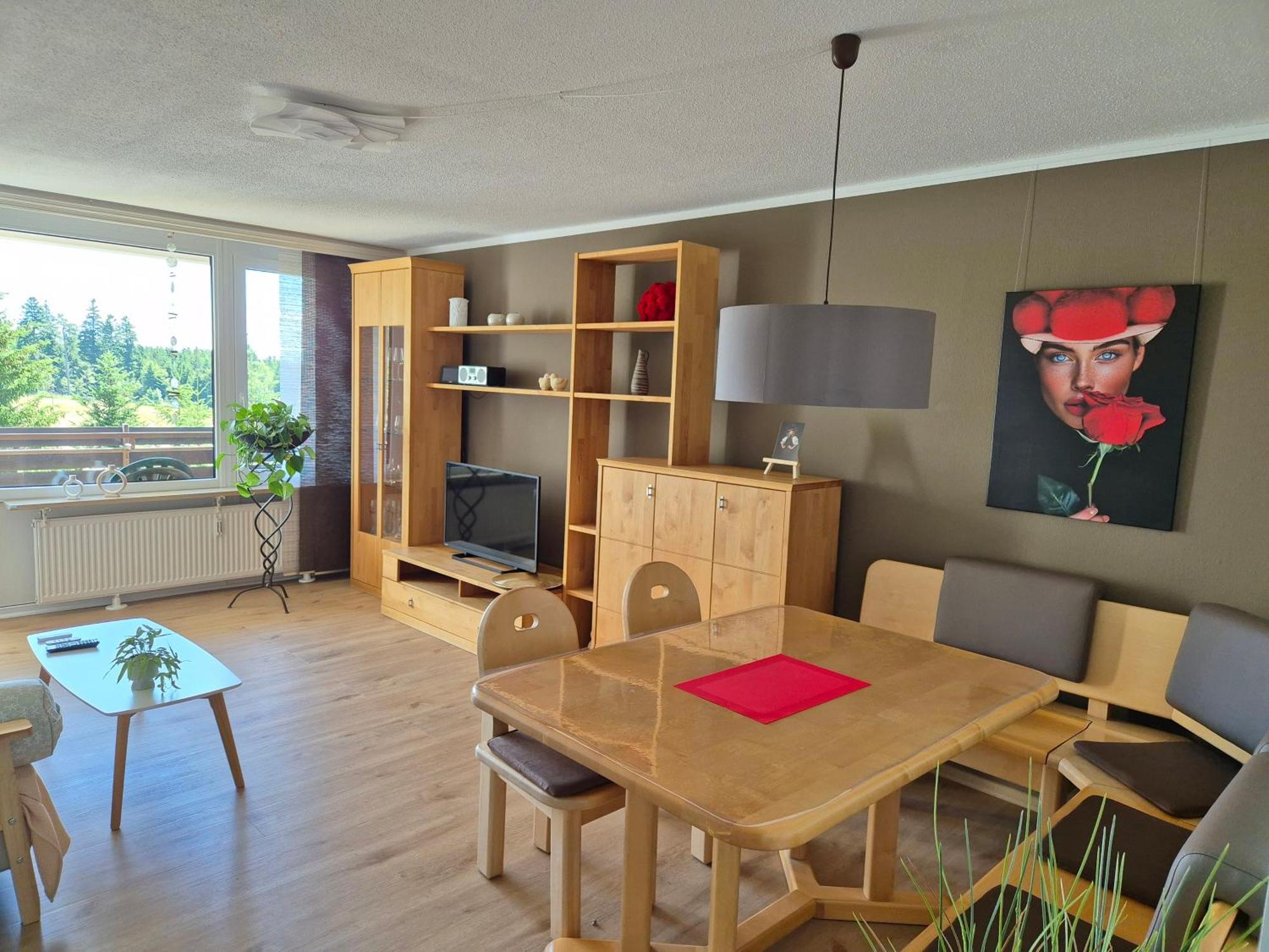 Schwarzwald Von Oben - Kniebis Apartment Freudenstadt